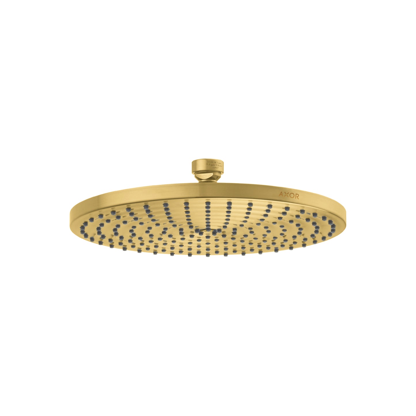 AXOR 28612251 ShowerSolutions Showerhead 240 1-Jet Powder Rain, 2.5 GPM - Brushed Gold Optic
