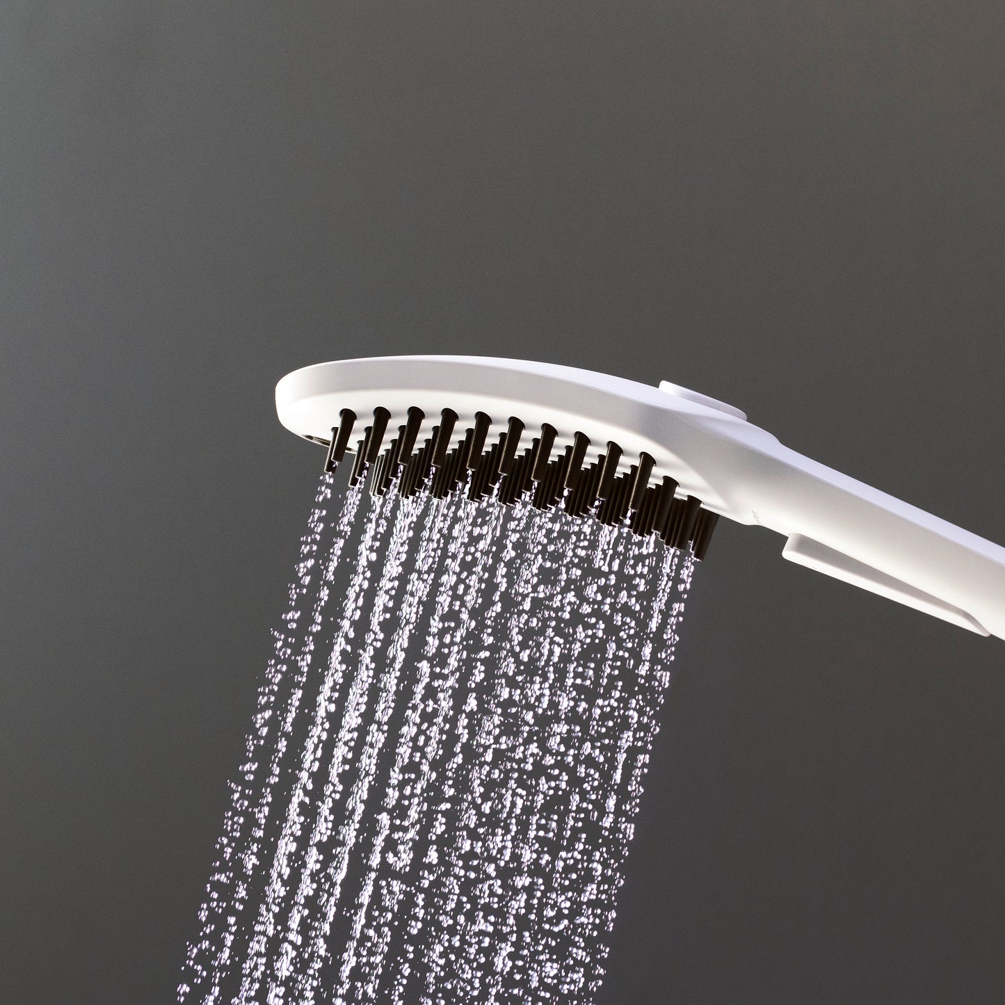 HANSGROHE 04973700 White Contemporary Dog Shower 1.75 GPM