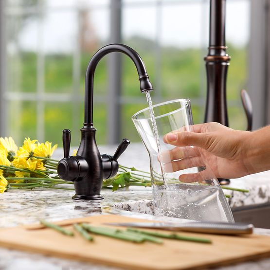 INSINKERATOR 45390Y-ISE Showroom Collection Traditional 2010 Instant Hot and Cold Faucet - FHC2010MBLK