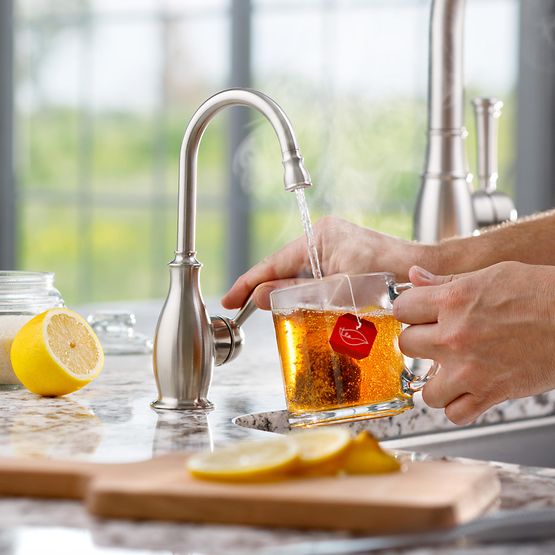 INSINKERATOR 45389AU-ISE Showroom Collection Traditional 2010 Instant Hot Faucet - FH2010SS