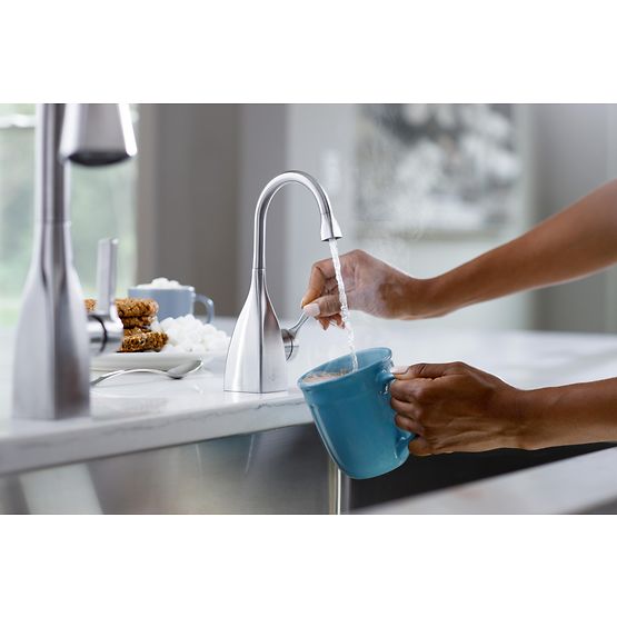 INSINKERATOR 45387AU-ISE Showroom Collection Transitional 1020 Instant Hot Faucet - FH1020SS