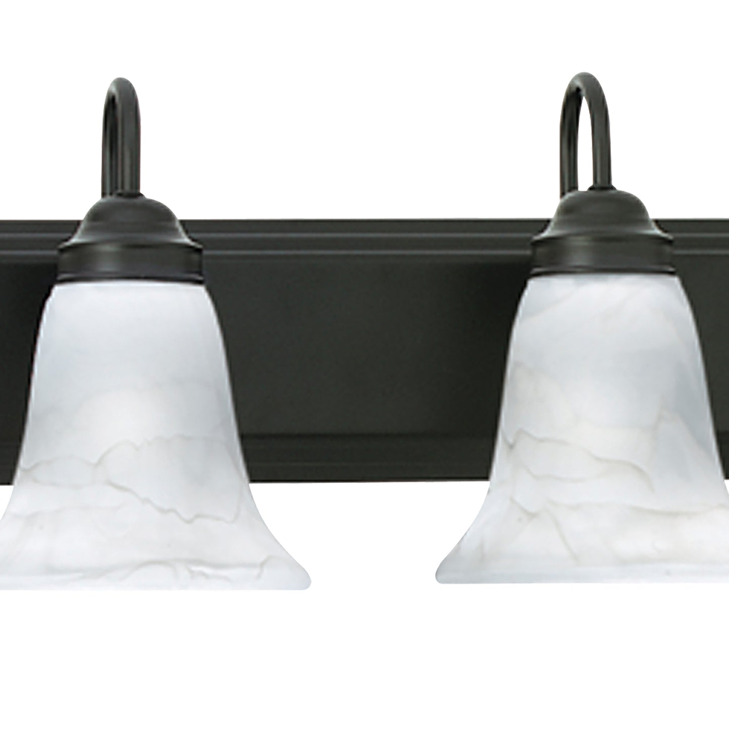 THOMAS SL758663 Homestead 48'' Wide 6-Light Vanity Light - Painted Bronze