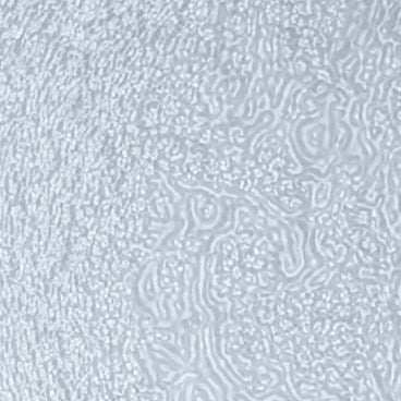 KOHLER K-1194849-G1-B11 Dusk Glass 4" X 4" Samples In Opaque Dusk