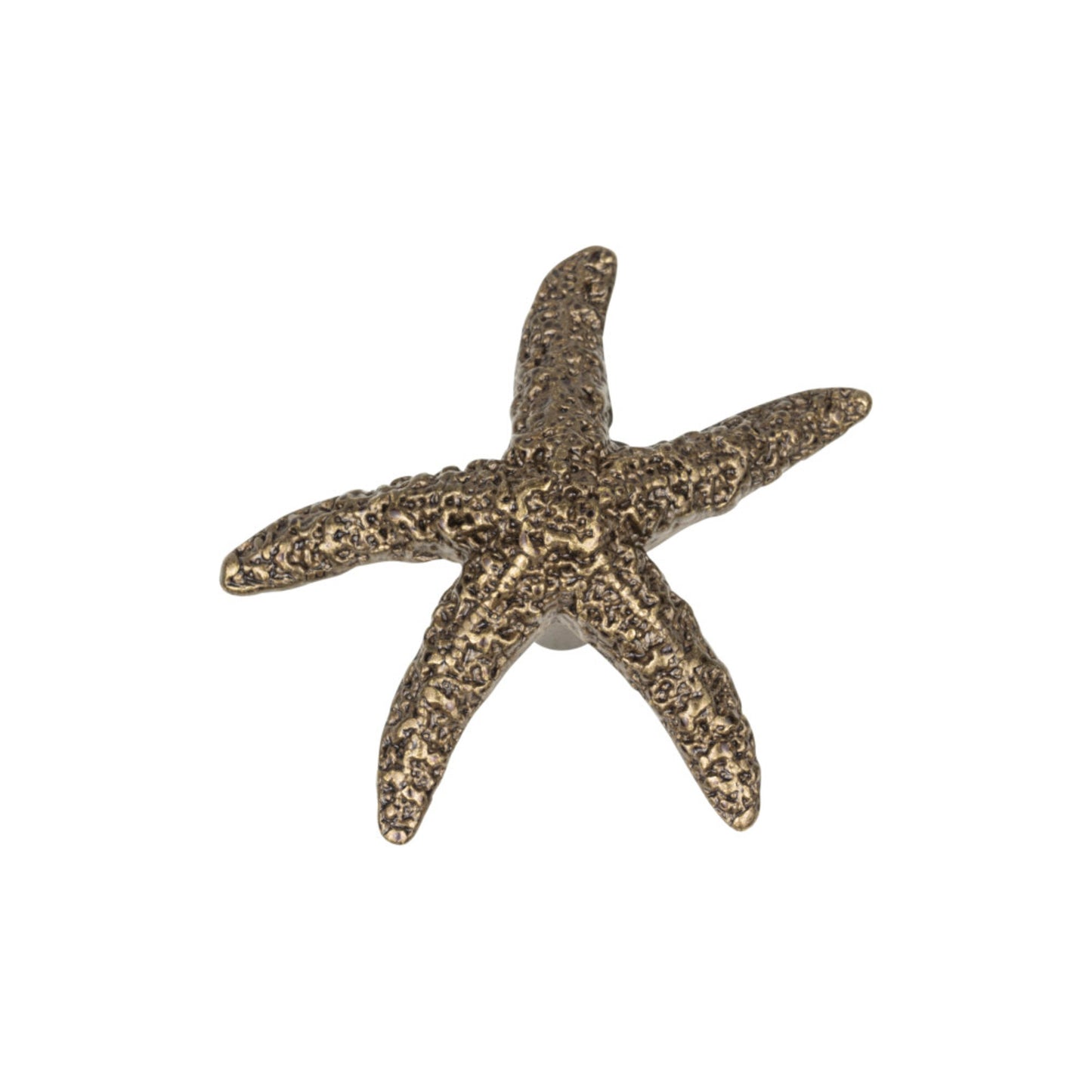 ATLAS 142-BB Starfish 2" Length Novelty Knob - Burnished Bronze