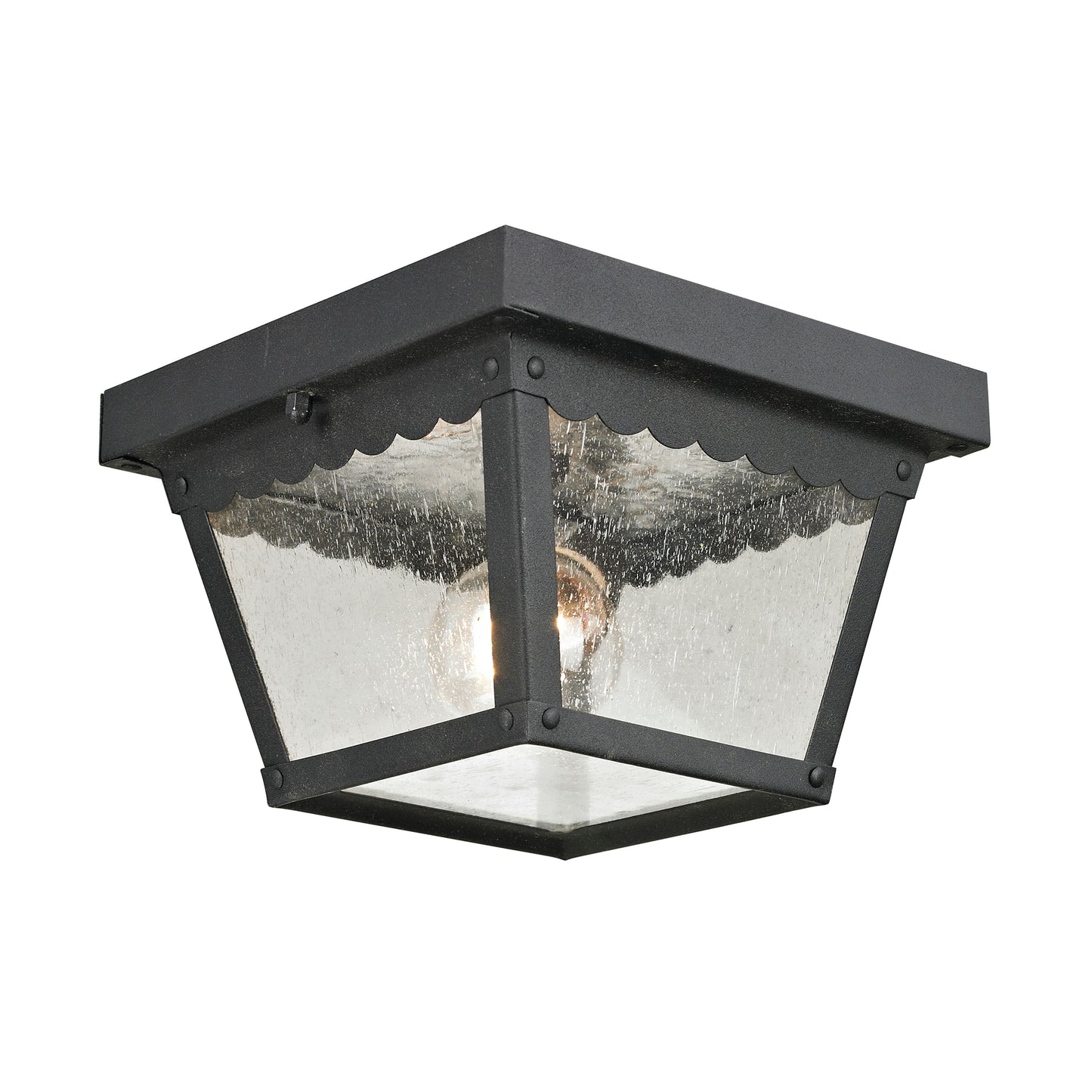 THOMAS 9102EF/65 Springfield 8'' Wide 2-Light Outdoor Flush Mount - Matte Textured Black