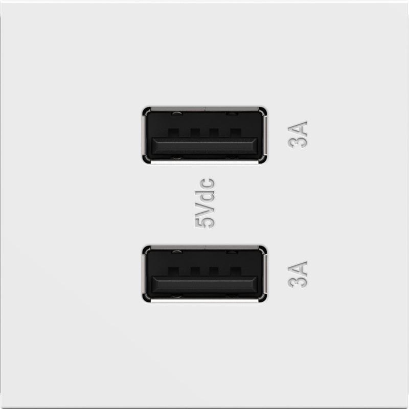 LEGRAND ARUSB2AA6W4 ADORNE Ultra-Fast USB Type-A/A Outlet Module, White