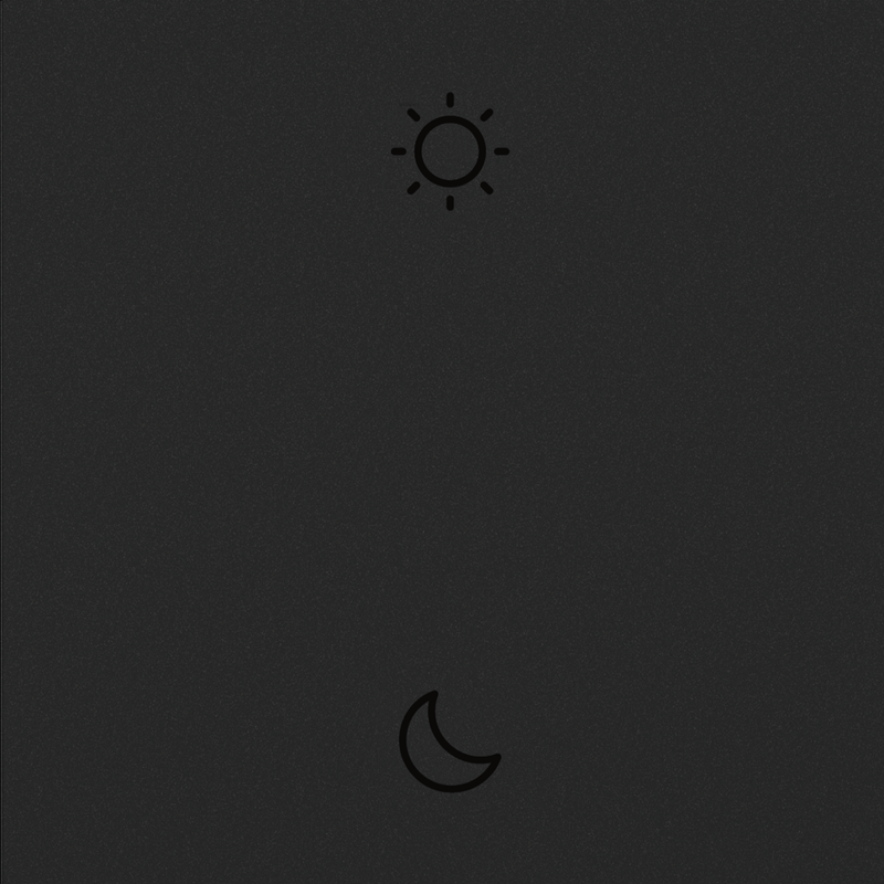 LEGRAND WNAL43G1 ADORNE Wake/Sleep Wireless Smart Switch with Netatmo, Graphite