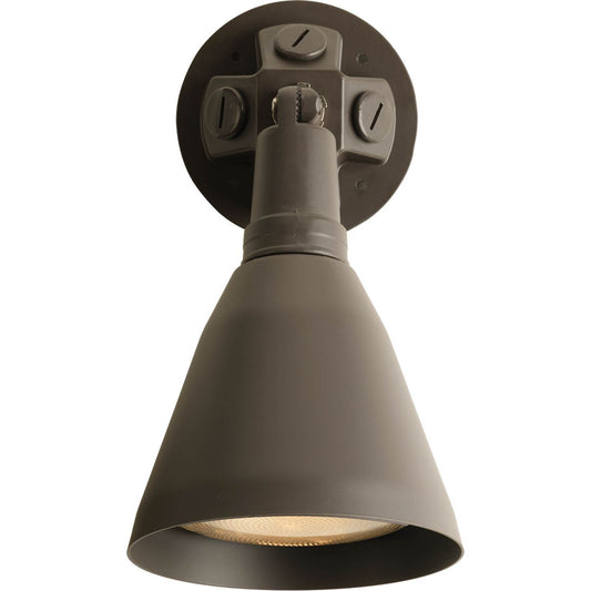 PROGRESS LIGHTING P5202-20 One-Light Adjustable Swivel Flood Light in Antique Bronze