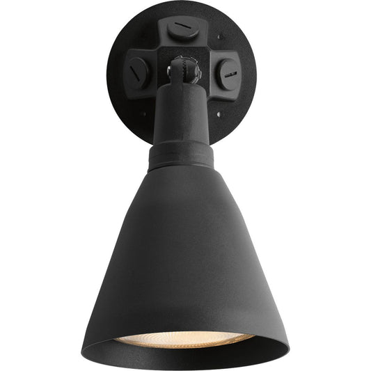 PROGRESS LIGHTING P5202-31 One-Light Adjustable Swivel Flood Light in Black