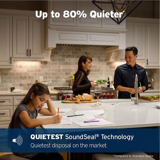 INSINKERATOR 79853K-ISE Pro 1250 Garbage Disposal, 1.25 HP with Cord - PRO1250WCORD