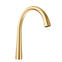 MOEN 100961BG Spout Kit - Brushed Gold
