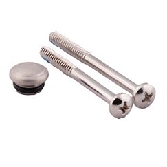 MOEN 114343BN Polished Brass Handle Cap and Screw - Brushed Nickel