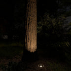 KICHLER 16023CBR27 Vlo 2700K Led 15 Degree Beam Angle In-Ground Accent Centennial Brass