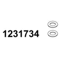 KOHLER O-RING KIT, K-1231734