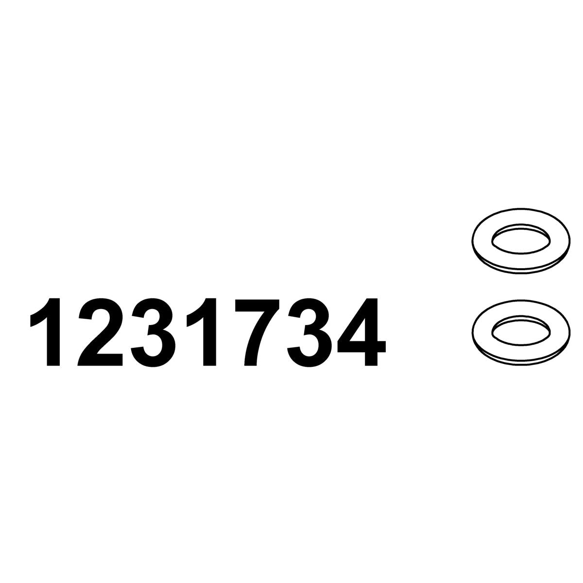 KOHLER O-RING KIT, K-1231734