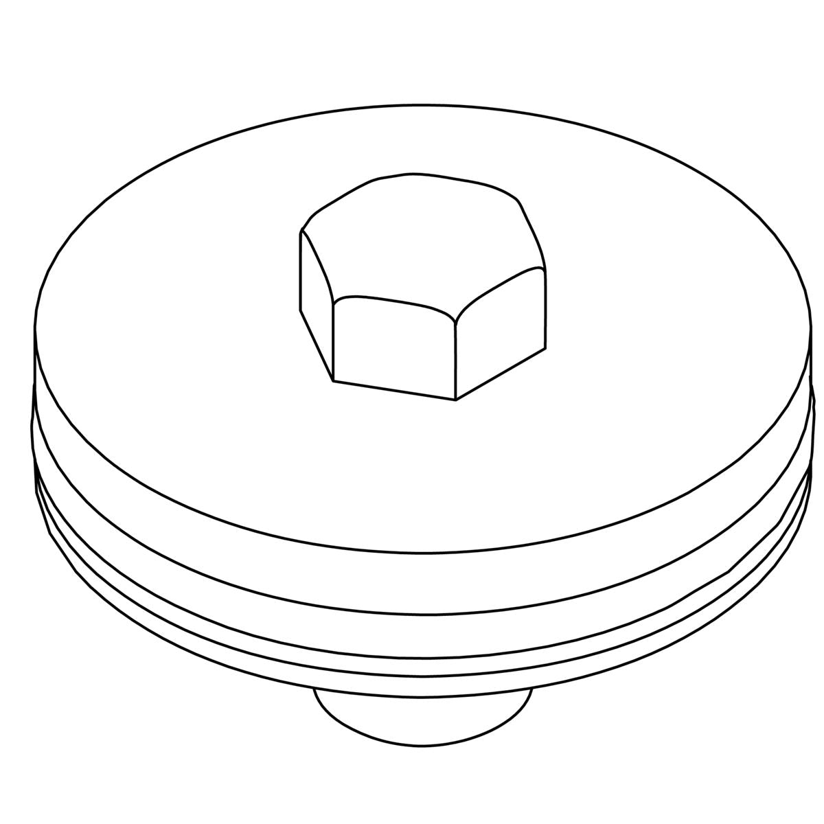 KOHLER Assembly, Plug, Test, K-1240624