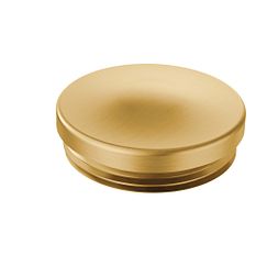 MOEN 130966BG Hinge Pin Caps In Brushed Gold