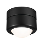KICHLER 52600BK Tibbi 5.5 Inch 1 Light Led Flush Mount With Satin Etched Cased Opal Glass In Black