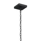 KICHLER 59008BKT Lahden 17.25" 1 Light Outdoor Pendant/Semi Flush With Clear Seeded Glass In Textured Black