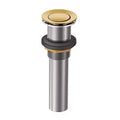 MOEN 140780BG Spring Loaded Push Button Bathroom Drain Assembly (Without Overflow) - Brushed Gold