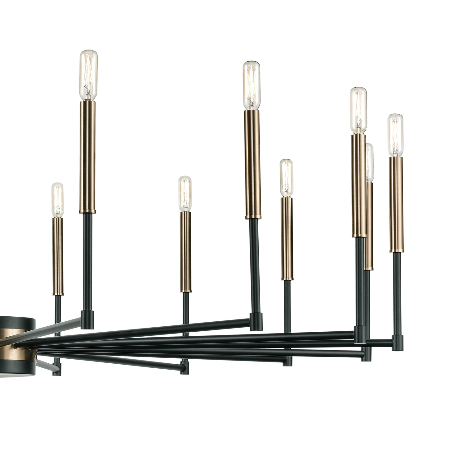 ELK SHOWROOM 15280/16 Livingston 52'' Wide 16-Light Chandelier - Matte Black