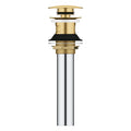 GROHE 48656GN0 Bathroom Sink Push Drain with Overflow - Brushed Cool Sunrise