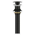 GROHE 486562430 Bathroom Sink Push Drain with Overflow - Matte Black