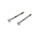 MOEN 163PM Legend Glacier Escutcheon Screws (2 Screws) For A Single-Handle Tub/Shower Escutcheon - Platinum