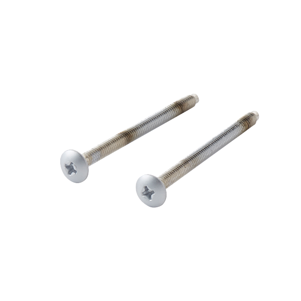 MOEN 163PM Legend Glacier Escutcheon Screws (2 Screws) For A Single-Handle Tub/Shower Escutcheon - Platinum