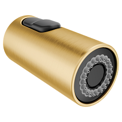 MOEN 173816BG Wand Kit - Brushed Gold