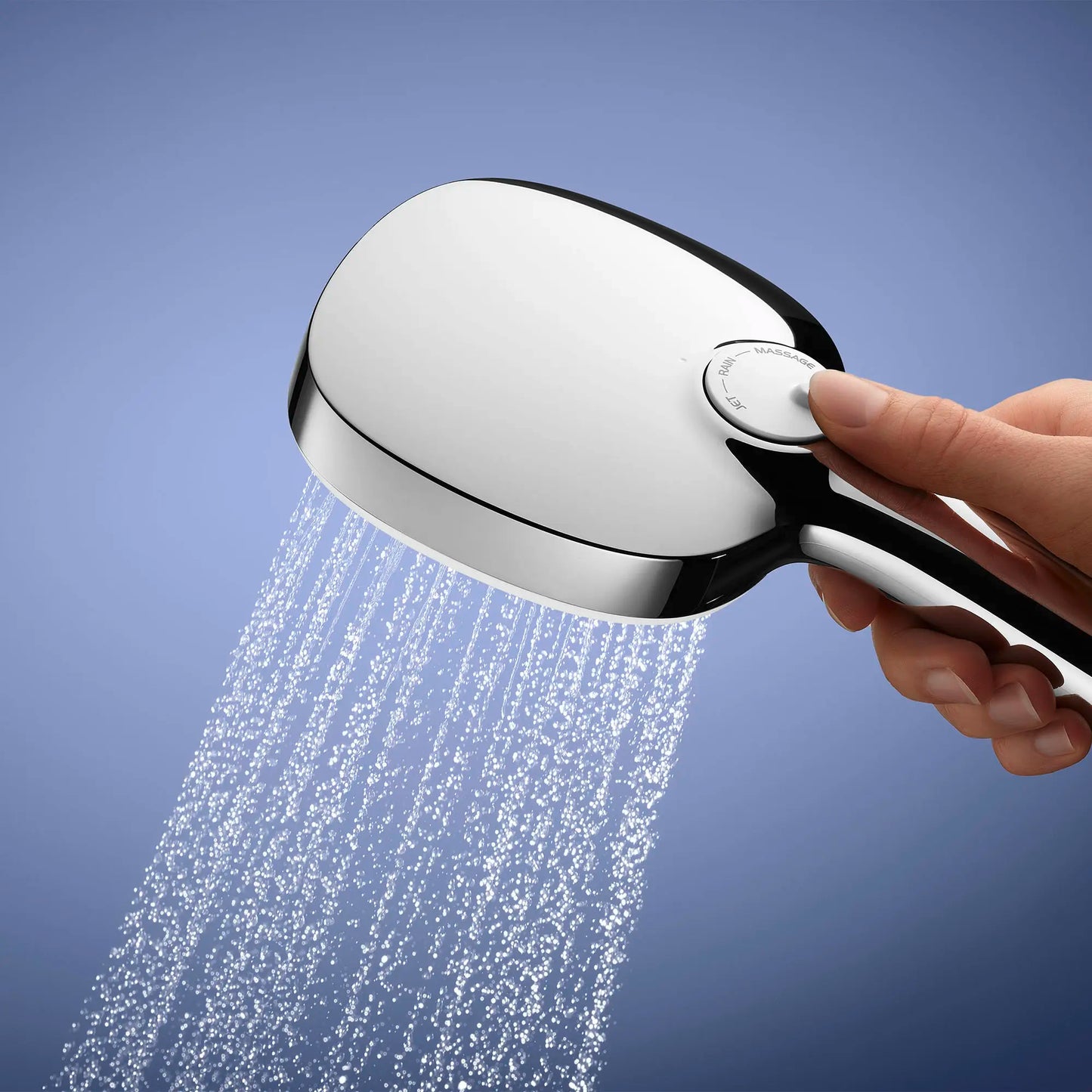 GROHE 26047002 Tempesta 110 Round 2-Spray Hand Shower, 1.5 GPM - Chrome