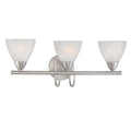 THOMAS 190017117 Tia 22.5'' Wide 3-Light Vanity Light - Matte Nickel