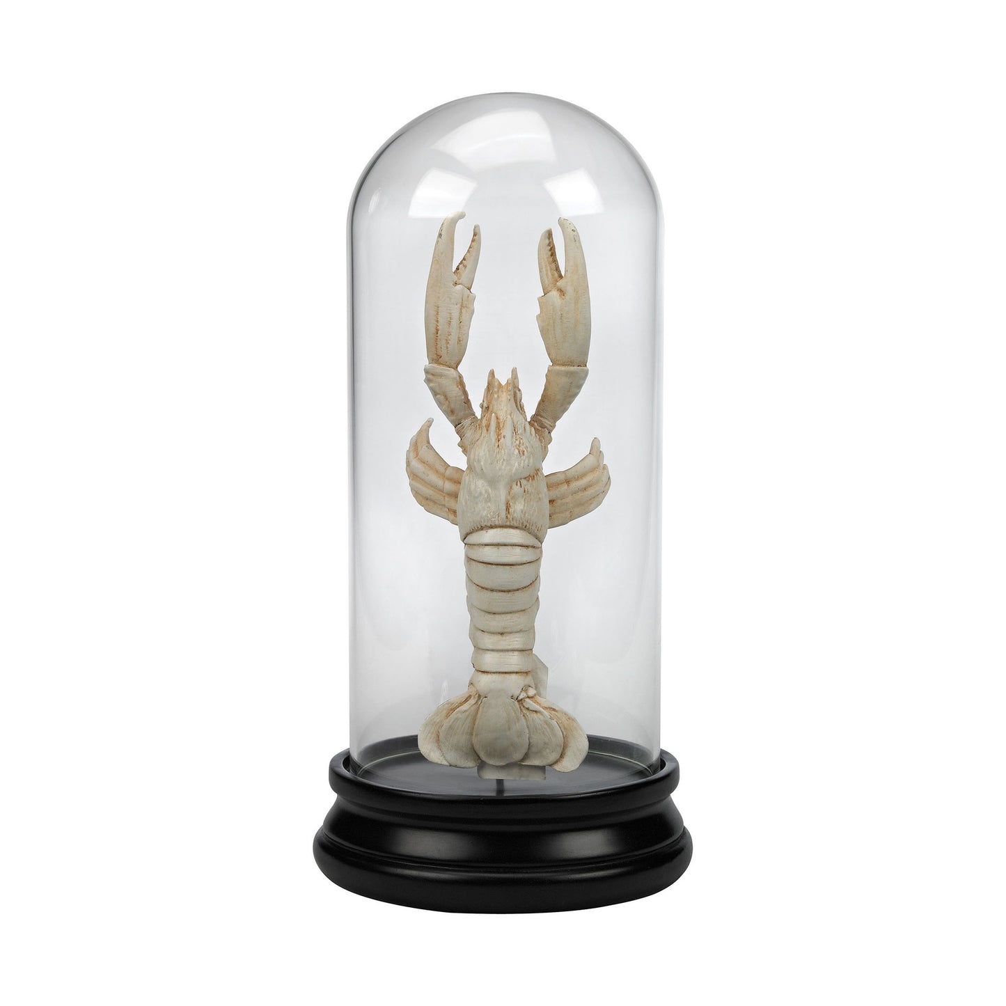 ELK STUDIO 2182-011 Naturae Ancient Lobster Curio