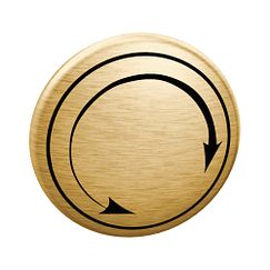 MOEN 221772BG Cap In Brushed Gold