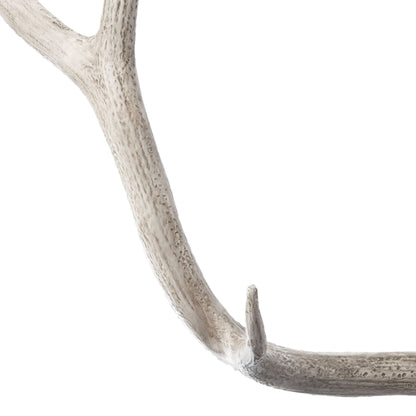 ELK STUDIO 225025 Weathered Resin Elk Antler