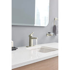 GROHE 40444EN1 Essentials Soap Dish with Holder - Brushed Nickel