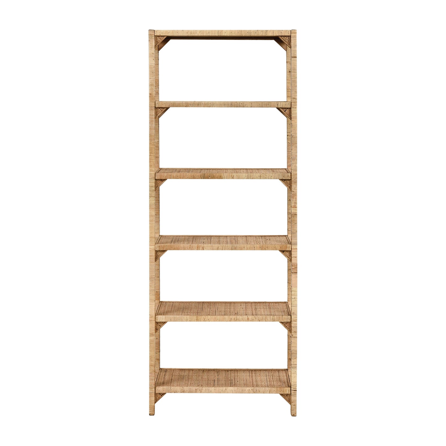 ELK STUDIO 351-10805 Fargesia Bookshelf