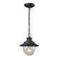 ELK SHOWROOM 45041/1 Searsport 8'' Wide 1-Light Outdoor Pendant - Weathered Charcoal