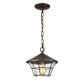 ELK SHOWROOM 45512/1 Gavin 10'' Wide 1-Light Outdoor Pendant - Hazelnut Bronze