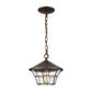 ELK SHOWROOM 45512/1 Gavin 10'' Wide 1-Light Outdoor Pendant - Hazelnut Bronze