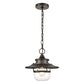 ELK SHOWROOM 46072/1 Renninger 11'' Wide 1-Light Outdoor Pendant - Oil Rubbed Bronze