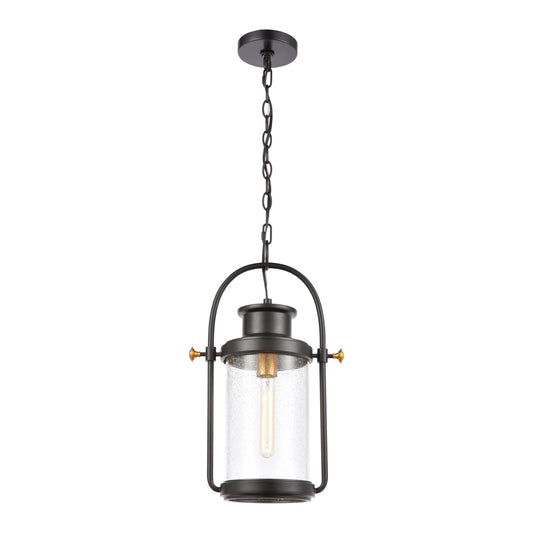 ELK SHOWROOM 46672/1 Wexford 12'' Wide 1-Light Outdoor Pendant - Matte Black