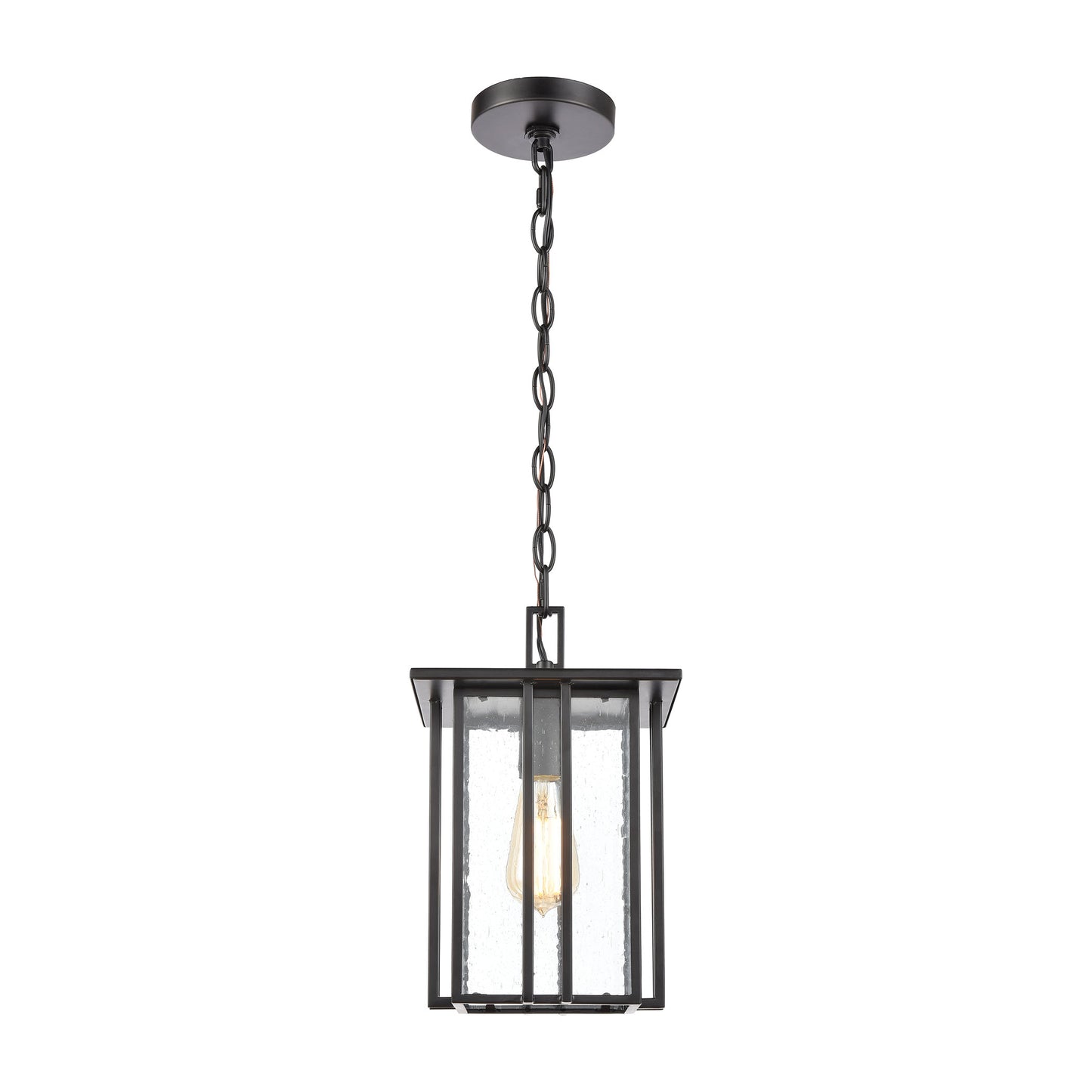 ELK SHOWROOM 46693/1 Radnor 8'' Wide 1-Light Outdoor Pendant - Matte Black