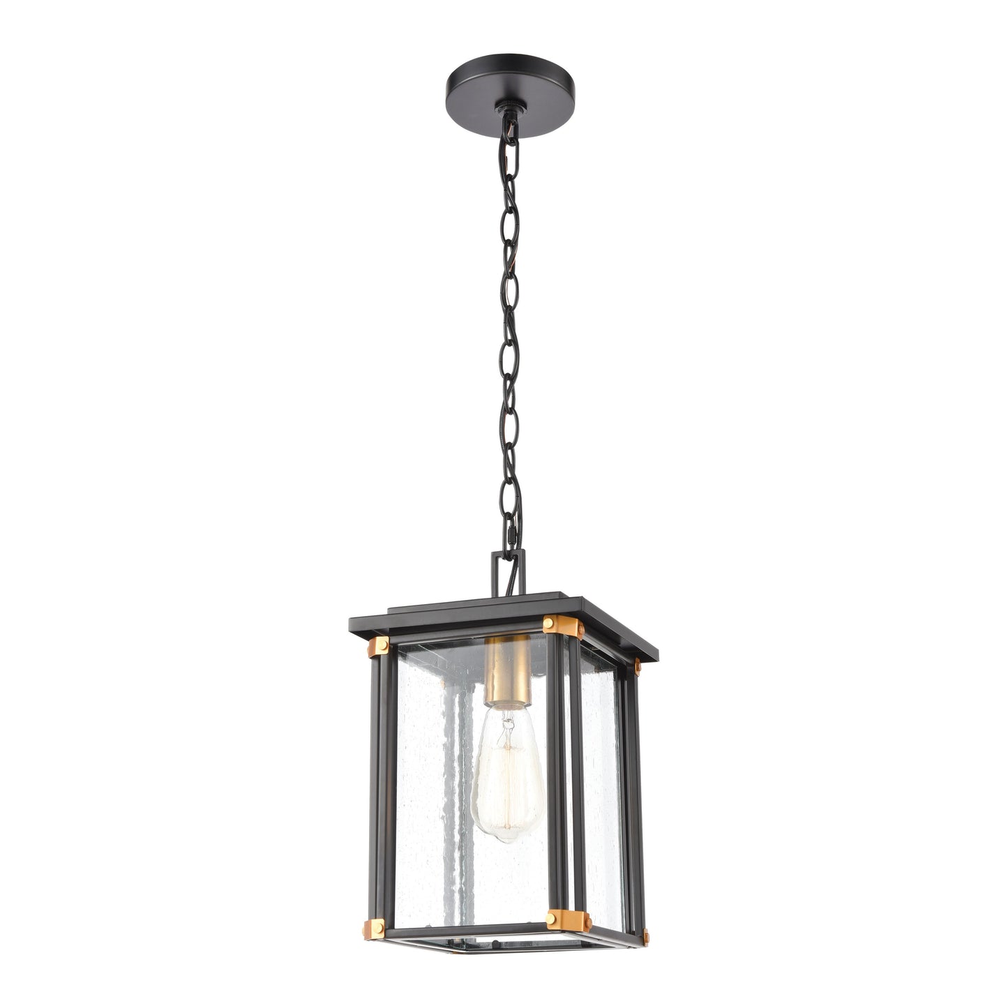 ELK SHOWROOM 46723/1 Vincentown 8'' Wide 1-Light Outdoor Pendant - Matte Black