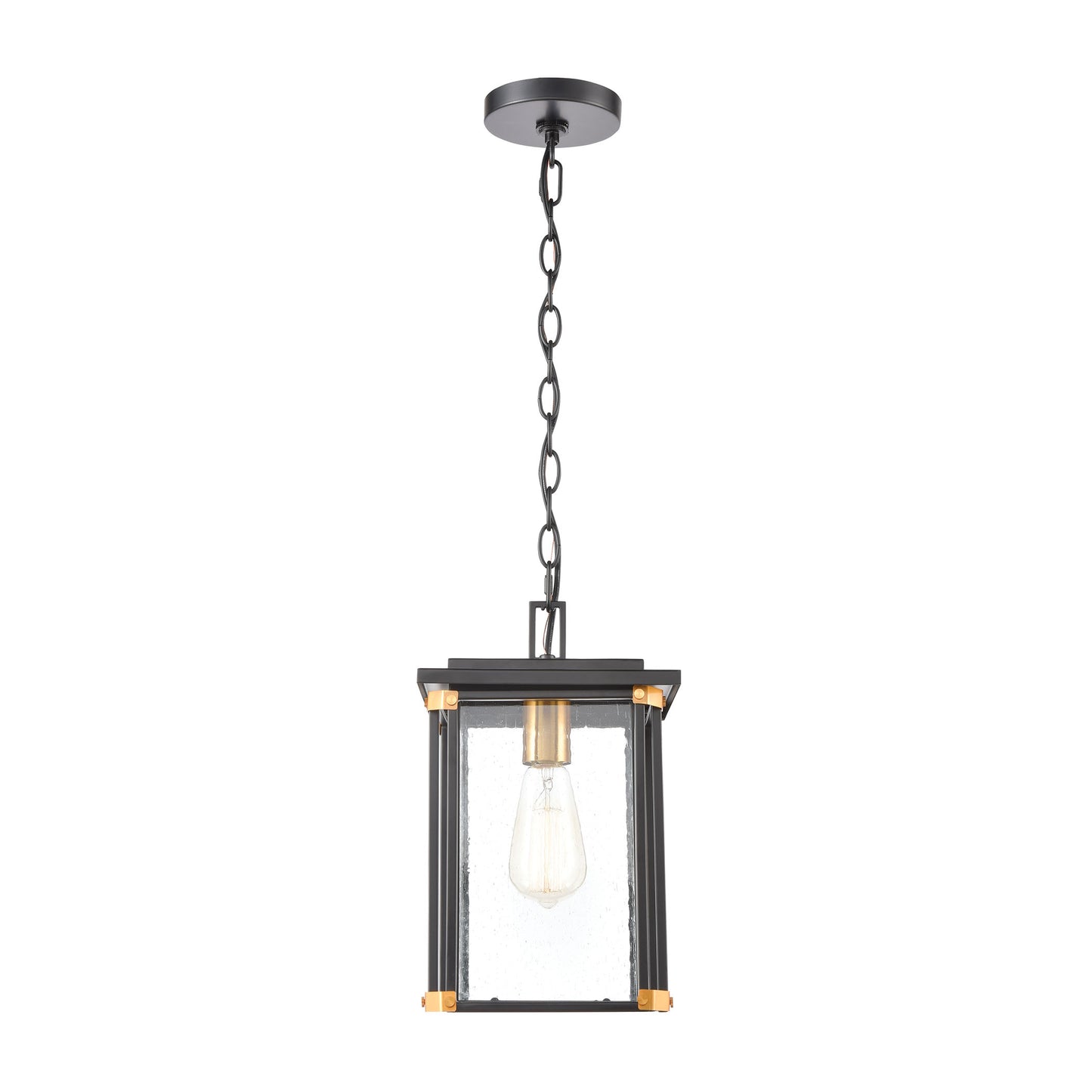 ELK SHOWROOM 46723/1 Vincentown 8'' Wide 1-Light Outdoor Pendant - Matte Black