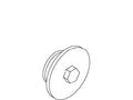 KOHLER Plug - Rough Plate, K-48088-RP