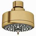 GROHE 26043GN1 Tempesta 100 Shower Head, 4" - 4 Sprays, 1.75 gpm - Brushed Cool Sunrise
