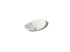 KOHLER K-5403-P5-NY Iron Plains 20-3/4" Oval Vessel Bathroom Sink - Dune