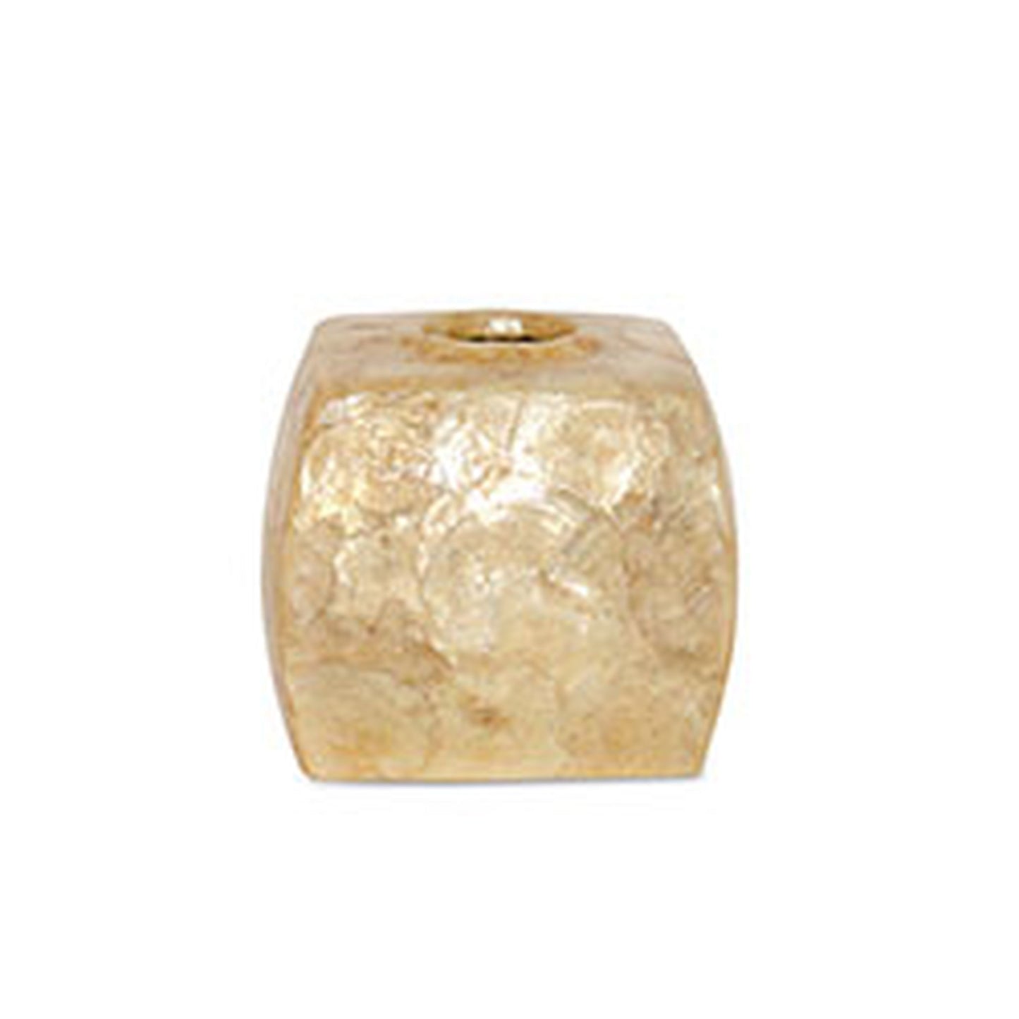 ELK STUDIO 555213 Contessa Tissue Box Chmp Shell Fw