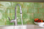 MOEN 5995 Arbor One-Handle Pulldown Bar Faucet - Chrome